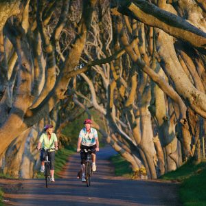 Dark Hedges, Co_master
