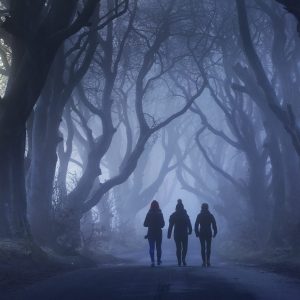 The Dark Hedges_master (2)