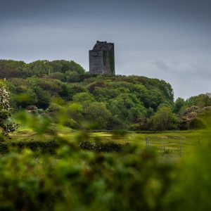 Ballinalackan Castle is in Killilagh parish in the Burren, County Clare, Ireland. It is of uncertain date but most likely was built in the 15th or early 16th century.