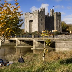 Bunratty Castle, Co_master (2) Bunratty Castle, Co_master (2)