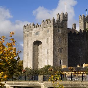 Bunratty Castle, Co_master Bunratty Castle, Co_master