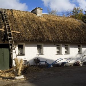 Bunratty Folk Park, Co_master Bunratty Folk Park, Co_master