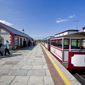 Bushmills Train_master
