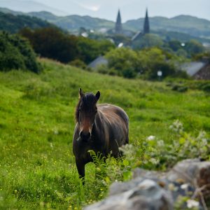 Clifden, County Galway_master (2)