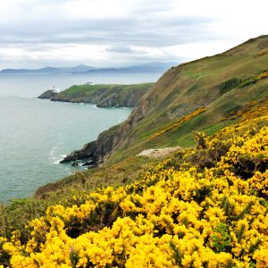 Cliff in Ireland A path in Howth, Dublin