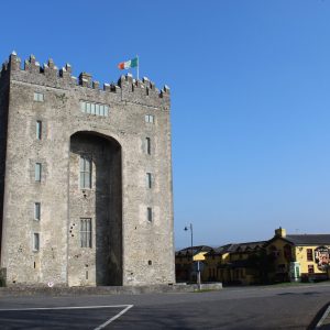 IMG_2674 Bunratty Castle
