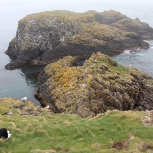 Carrick a Rede over the rope bridge rest