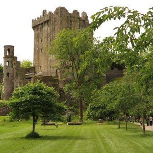 Blarney Garden