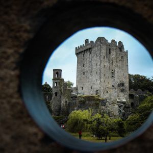 Private Shore Tour from Cork