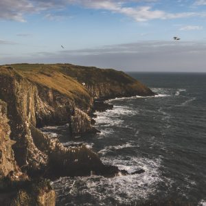 Kinsale head