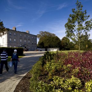 Oldbridge Estate, Co. Meath
